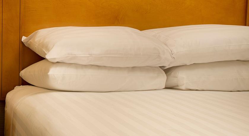 Drury Inn & Suites St. Louis 크리브 코어 객실 사진